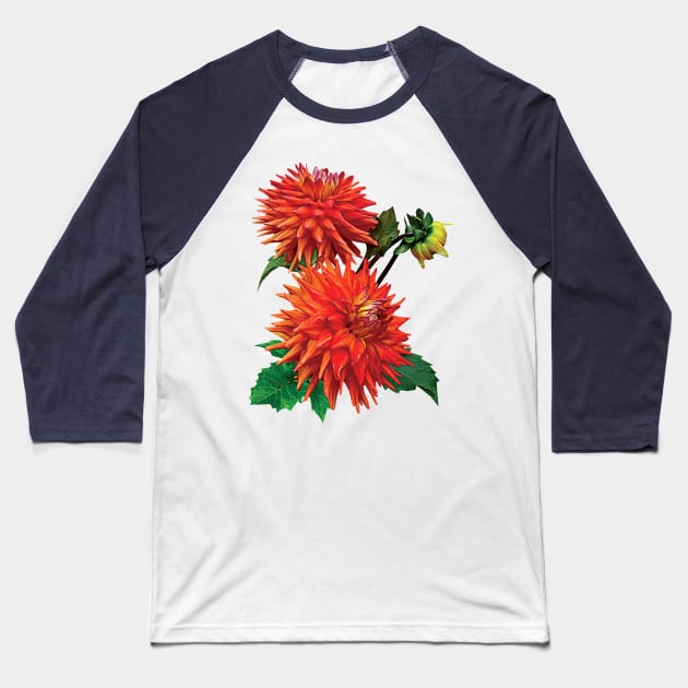 Dahlia Hot Shot Baseball T-Shirt by SusanSavad